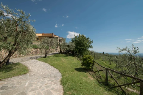Valdinievole - L'Uliveto, Vakantiehuis, Toscane, people: 4