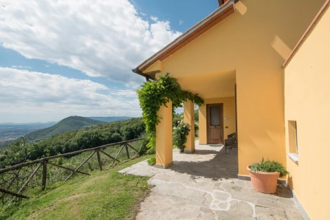 Valdinievole - L'Uliveto, Vakantiehuis, Toscane, people: 4