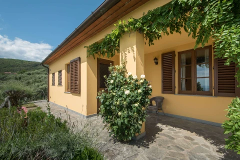 Valdinievole - L'Uliveto, Vakantiehuis, Toscane, people: 4