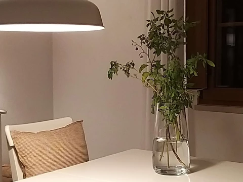 Villa Abitureiras, vakantiehuisVilla, Santarém, people: 6