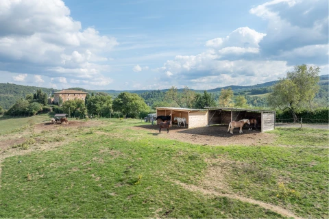 Vakantiehuis in Toscane voor 12 personen - Villa Airone