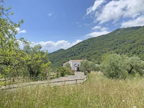 Villa Allegra, Vakantiehuis, Costa Del Sol, people: 8