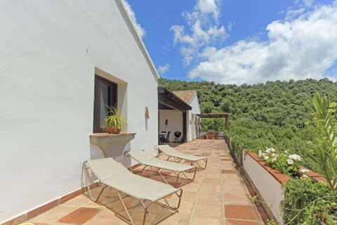 Villa Allegra, Vakantiehuis, Costa Del Sol, people: 8