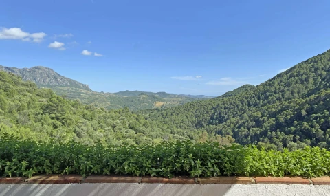 Villa Allegra, Vakantiehuis, Costa Del Sol, people: 8