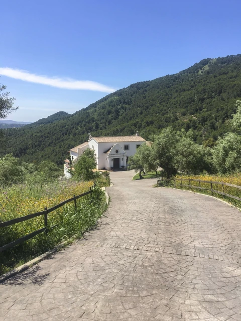 Villa Allegra, Vakantiehuis, Costa Del Sol, people: 8