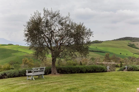Villa Amore, Vakantiehuis, Toscane, people: 13