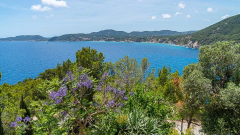 Villa Arizona, Vakantiehuis, Ibiza, people: 6