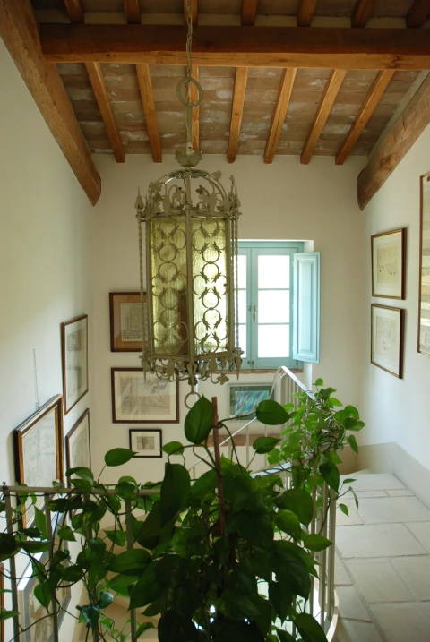 Holiday home in Tuscany for 8 people - Villa Belcanto