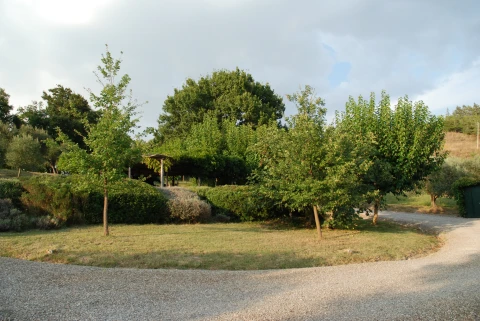 Holiday home in Tuscany for 8 people - Villa Belcanto