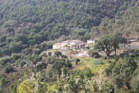 Villa Carrera, vakantiehuisVilla, Côte d'azur, people: 10