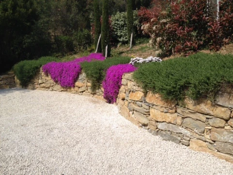 Villa Carrera, vakantiehuisVilla, Côte d'azur, people: 10