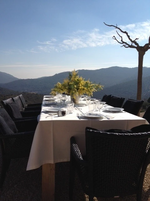 Villa Carrera, vakantiehuisVilla, Côte d'azur, people: 10