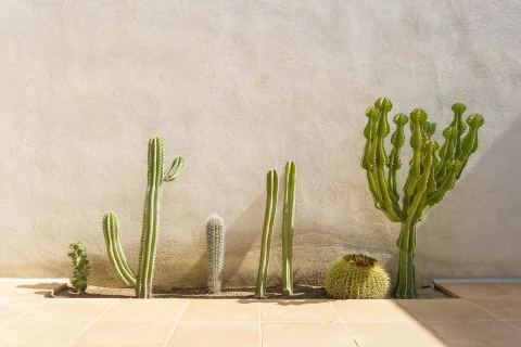 Villa Charles, Vakantiehuis, Costa Dorada, people: 8