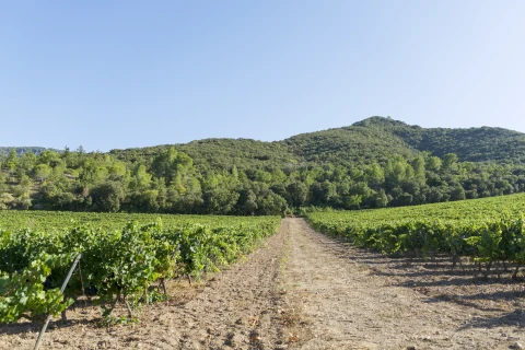 Villa Charles, Vakantiehuis, Costa Dorada, people: 8