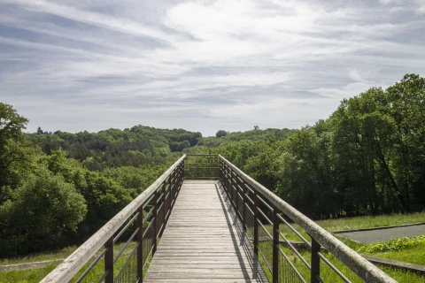 Villa Charmante au Périgord, Vakantiehuis, Dordogne / Nouvelle-Aquitaine, people: 10