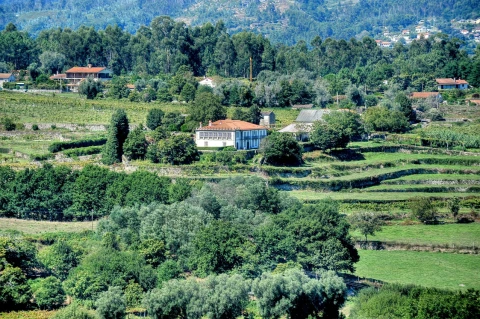 Villa Colorida, Vakantiehuis, Porto, people: 6
