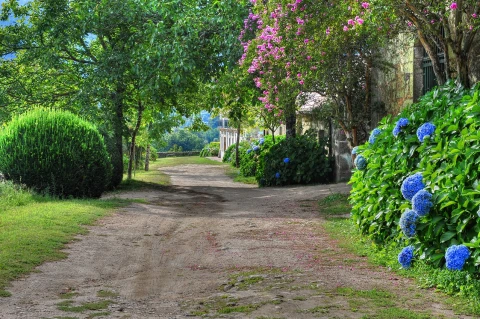 Villa Colorida, Vakantiehuis, Porto, people: 6