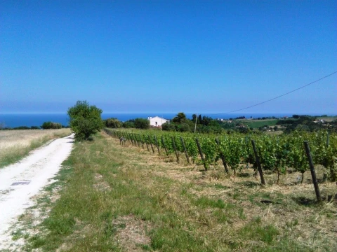 Villa Cupra Marittima, Vakantiehuis, Le Marche, people: 11