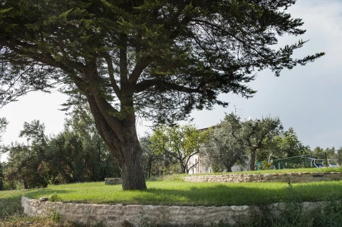 Villa Cupra Marittima, Vakantiehuis, Le Marche, people: 11