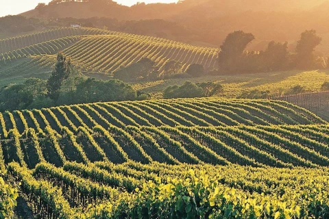 Villa Daco, vakantiehuisVilla, Provence, people: 6