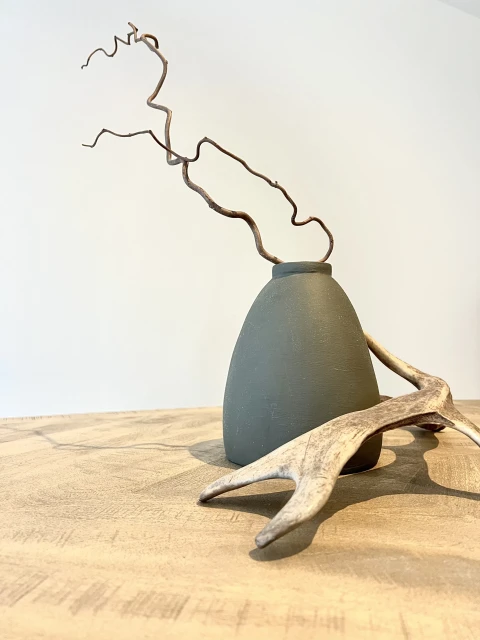 Vakantiehuis in Provence voor 8 personen - Villa de Beaumes