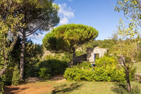 Maison de vacances en Languedoc-Roussillon pour 8 personnes - Villa des Amandes