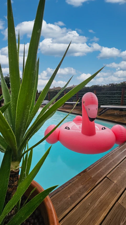 Villa Gina, Vakantiehuis, Languedoc-Roussillon, people: 4