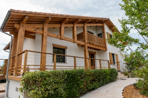 Vakantiehuis in Franse Atlantische kust voor 12 personen - Villa Gujan