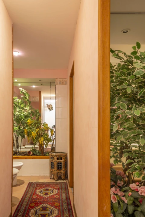 Villa Joseph, Vakantiehuis, Côte d'azur, people: 8