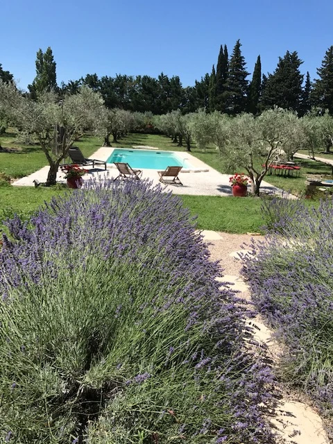 Villa Katia, Vakantiehuis, Provence, people: 6