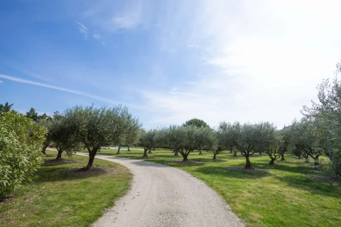 Villa Katia, Vakantiehuis, Provence, people: 6