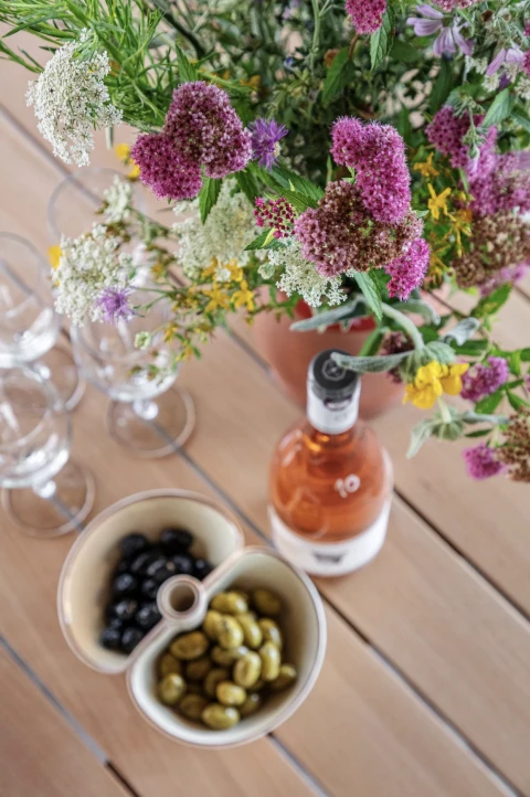 Villa Le Rey, Vakantiehuis, Languedoc-Roussillon, people: 18