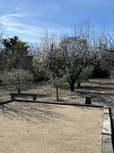 Holiday home in Provence for 6 people - Villa les Alpilles