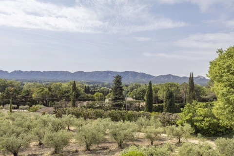 Villa les Alpilles, Vakantiehuis, Provence, people: 6