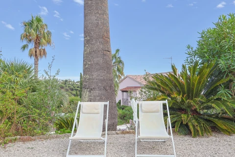 Vakantiehuis in Côte d'azur voor 12 personen - Villa Les Palmiers