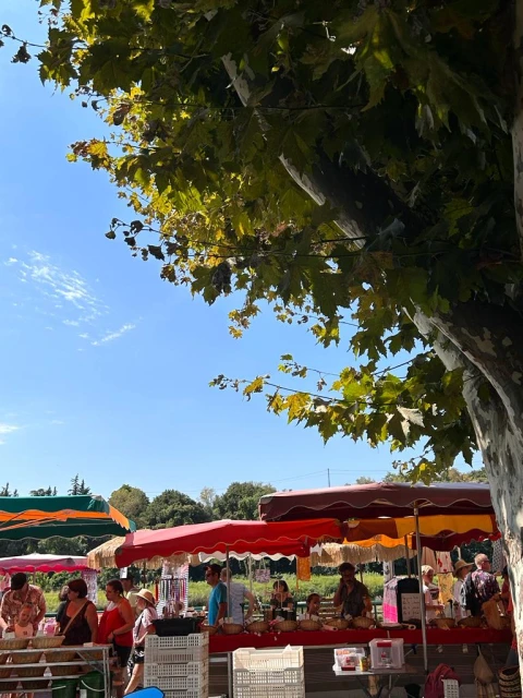 Villa Liba, Vakantiehuis, Ardeche, people: 10