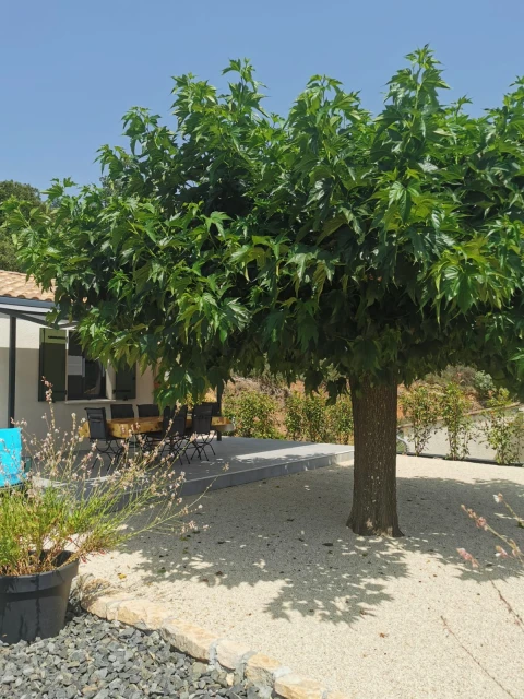 Villa Liba, Vakantiehuis, Ardeche, people: 10