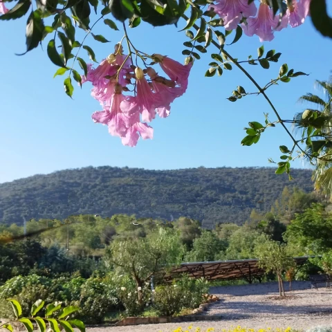 Maison de vacances en Algarve pour 12 personnes - Villa Luminea