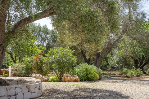 Villa Mattea, Vakantiehuis, Puglia, people: 8