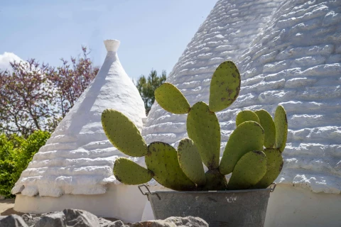 Villa Mattea, vakantiehuisVilla, Puglia, people: 8
