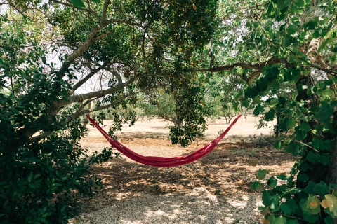 Ferienhaus in Puglia für 10 Personen - Villa Mattea