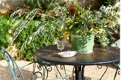 Villa Micky, Vakantiehuis, Languedoc-Roussillon, people: 12