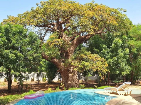 Villa Oasis, Vakantiehuis, Saly, people: 7