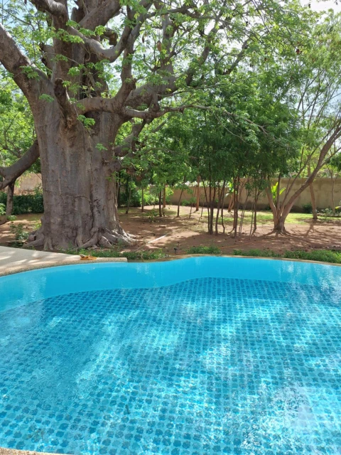 Villa Oasis, Vakantiehuis, Saly, people: 7