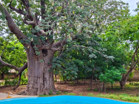 Villa Oasis, vakantiehuisVilla, Saly, people: 7