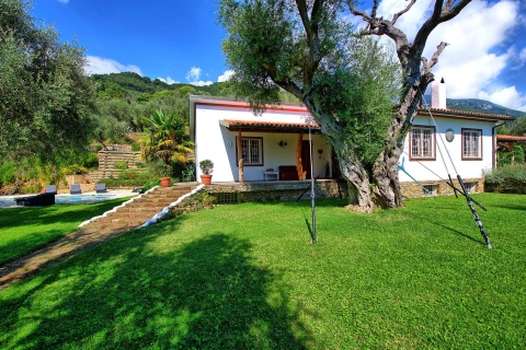 Villa Oliveta, vakantiehuisVilla, Toscane, people: 8