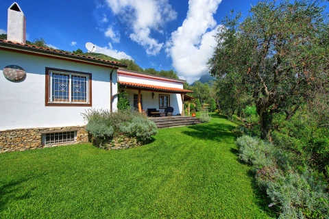 Villa Oliveta, vakantiehuisVilla, Toscane, people: 8