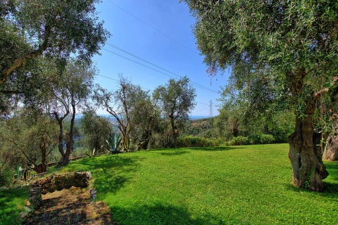 Villa Oliveta, vakantiehuisVilla, Toscane, people: 8