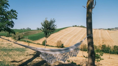 Villa Olivia, vakantiehuisVilla, Le Marche, people: 10