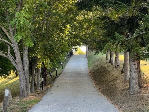 Villa Rinaldo, Vakantiehuis, Le Marche, people: 8